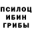 Галлюциногенные грибы GOLDEN TEACHER Bogdan Kuc