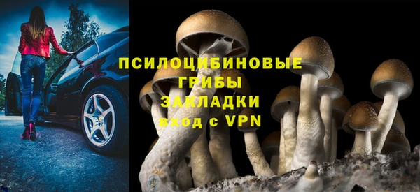 молекула духа Алзамай