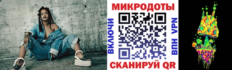 Псилоцибиновые грибы Psilocybine cubensis  Петрозаводск 