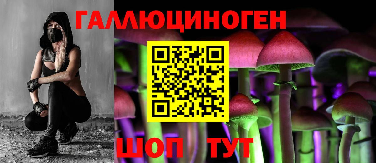 Псилоцибиновые грибы Magic Shrooms  Вход с VPN  где купить наркотик  Галлюциногенные грибы Cubensis  Петрозаводск 